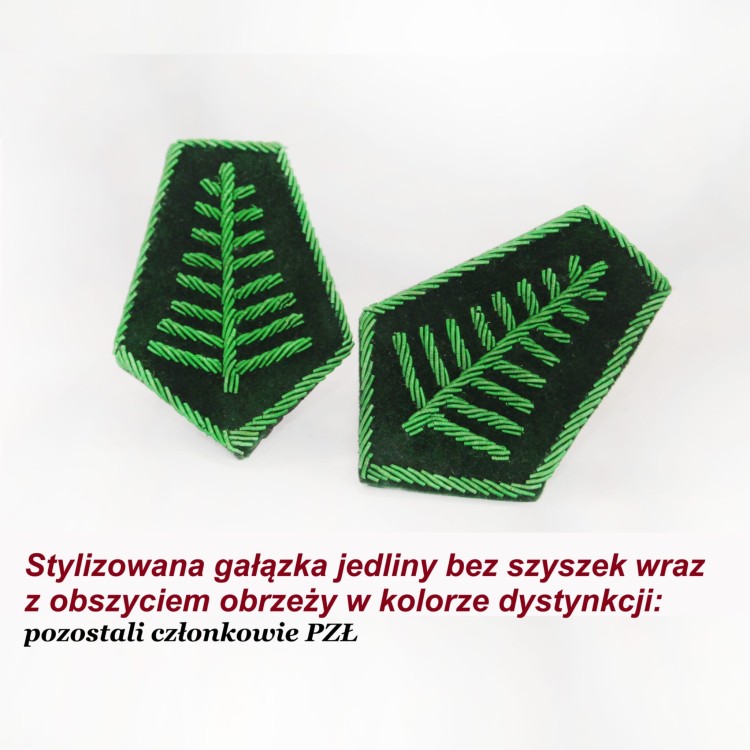 dys zielone bez szyszek.jpg