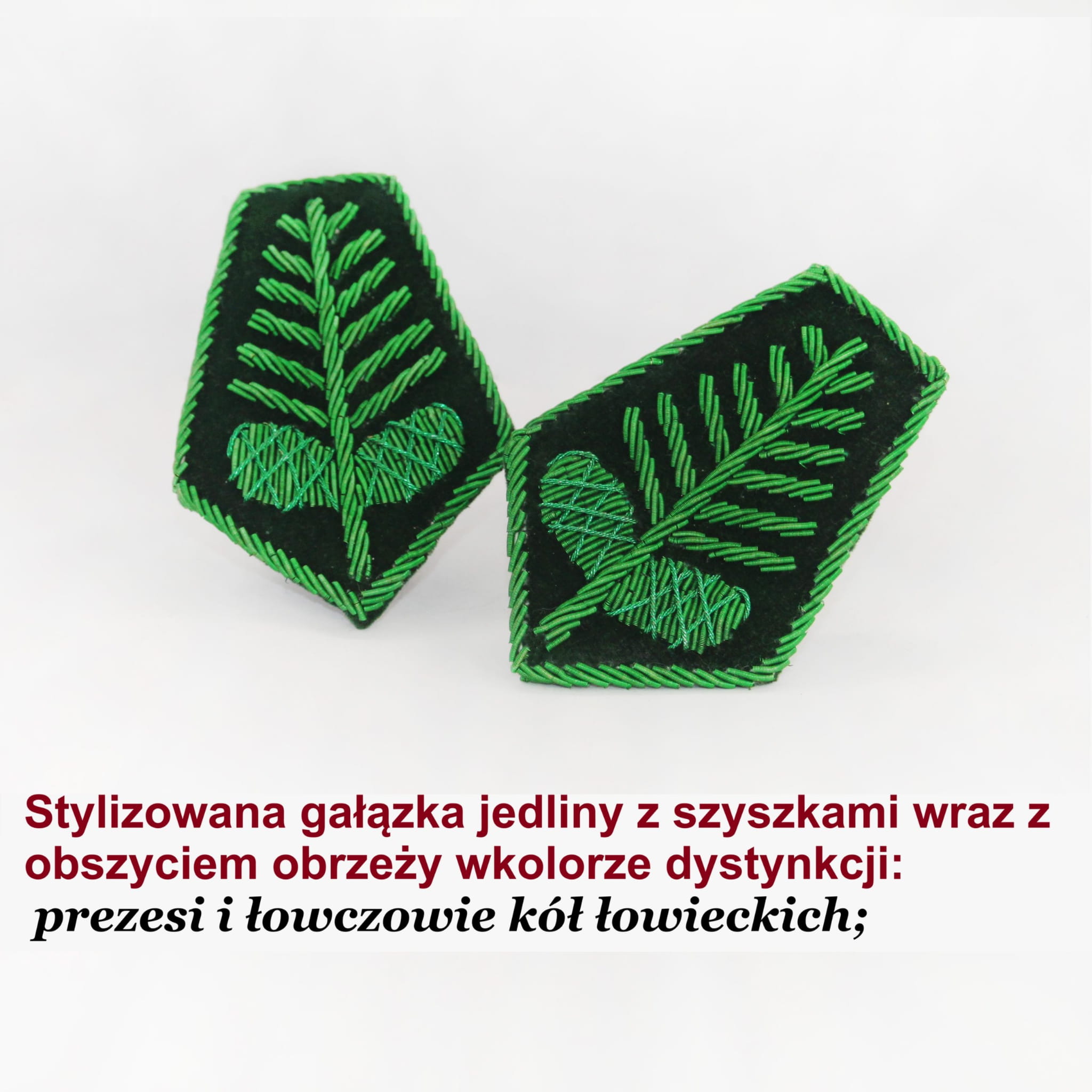 dys zielone szszyki.jpg