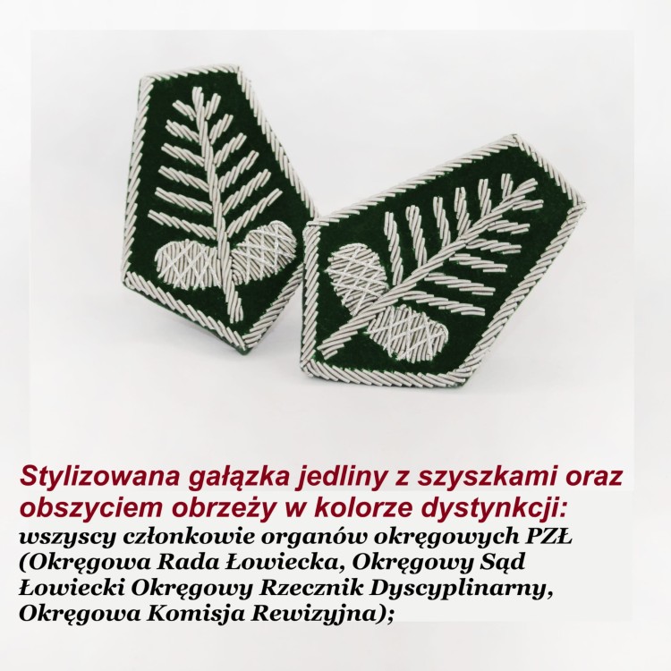 dys srebrne szyszki.jpg