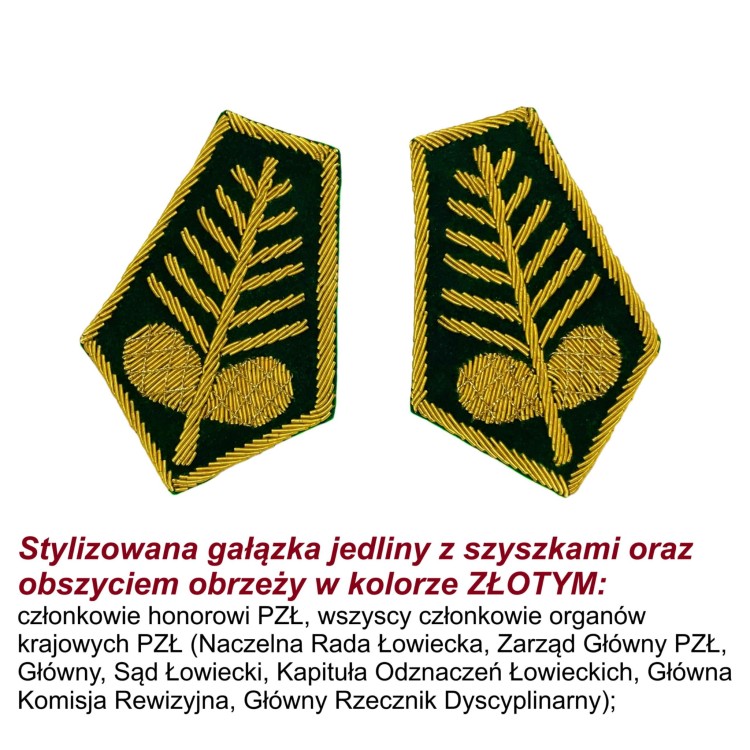 dystynkcj złote szyszka.jpg