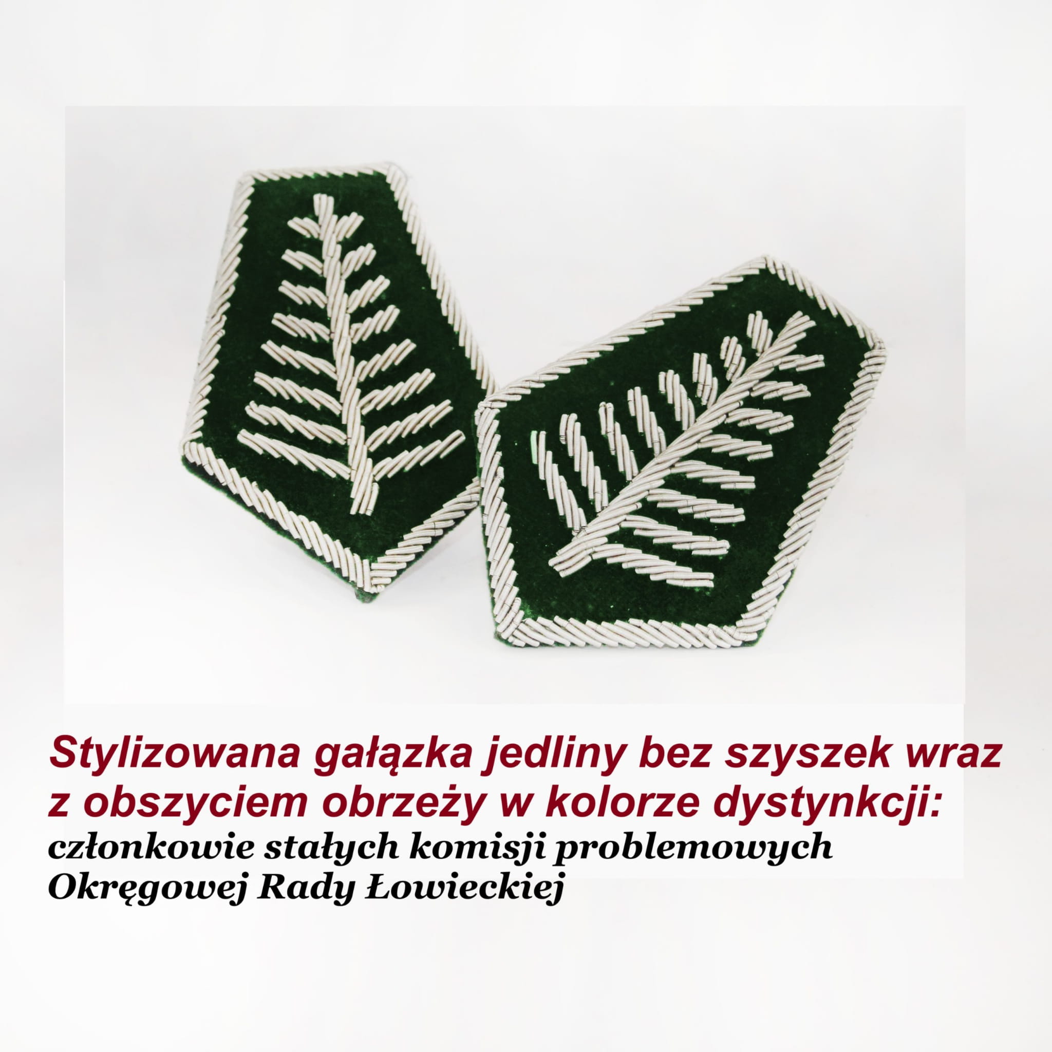 dys srebrne bez szyszek.jpg